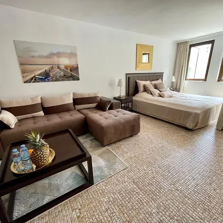 Royal - 5m To Pool, 100m To Appartement Slantchev Briag